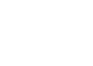 PPPM Logo